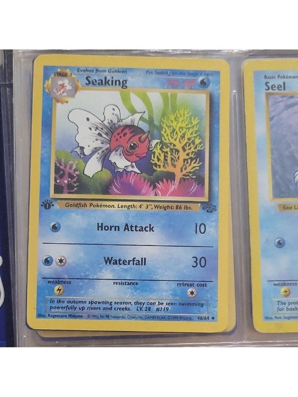 Pokémon Card Seaking